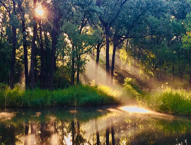 去年六月份的一篇文字,存电脑里好久了